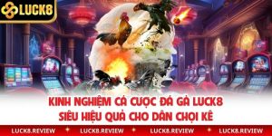 Kinh Nghiệm Cá Cược Đá Gà Luck8 Siêu Hiệu Quả Cho Dân Chọi Kê